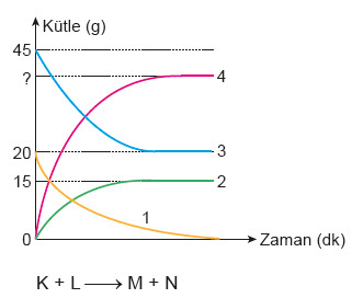 8. Sınıf Fen Bilimleri Test