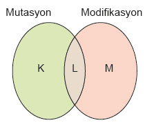 8. Sınıf Fen Bilimleri Test