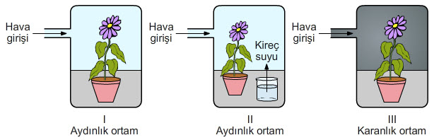 8. Sınıf Fen Çevre Bilimi Test