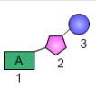 DNA ve Genetik Kod Test