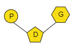 DNA ve Genetik Kod Test