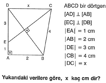 Dörtgenler Soru 12