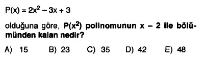 Polinom Test