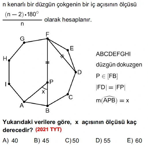 dortgen 13