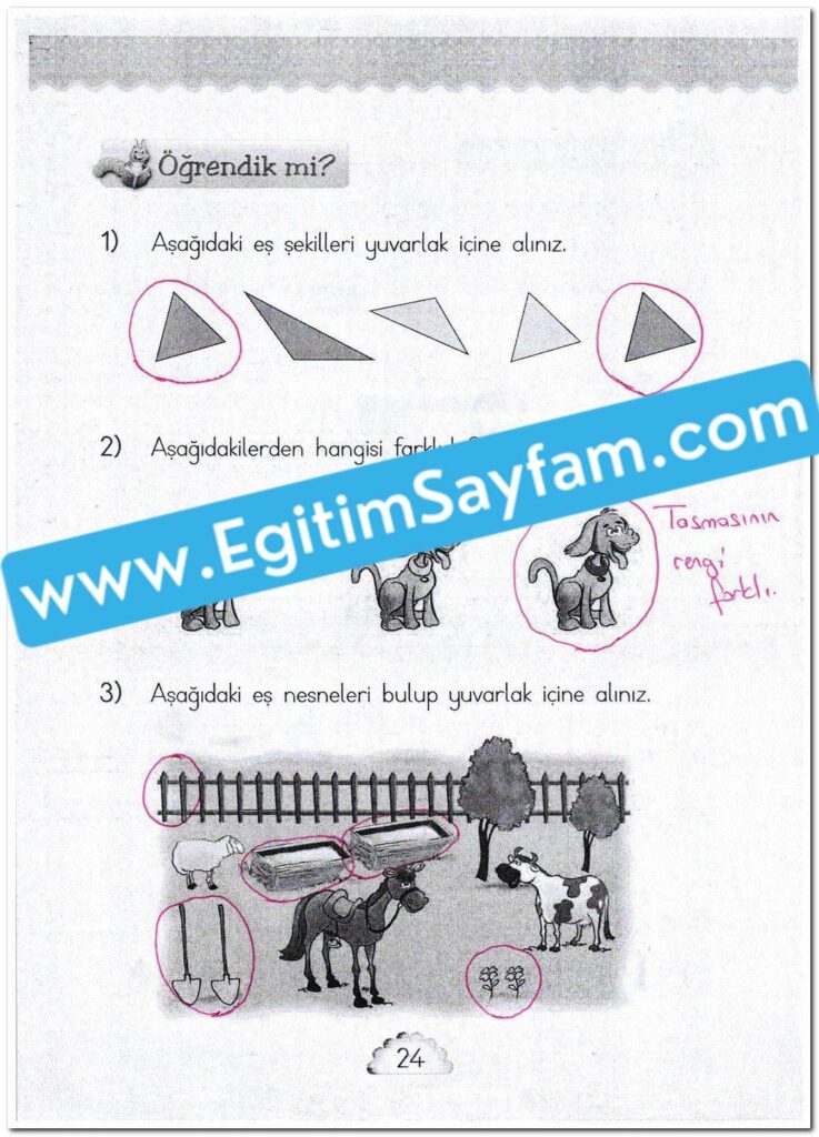 1. Sınıf MHG Yayınları Matematik Ders Kitabı Sayfa 24 Cevabı