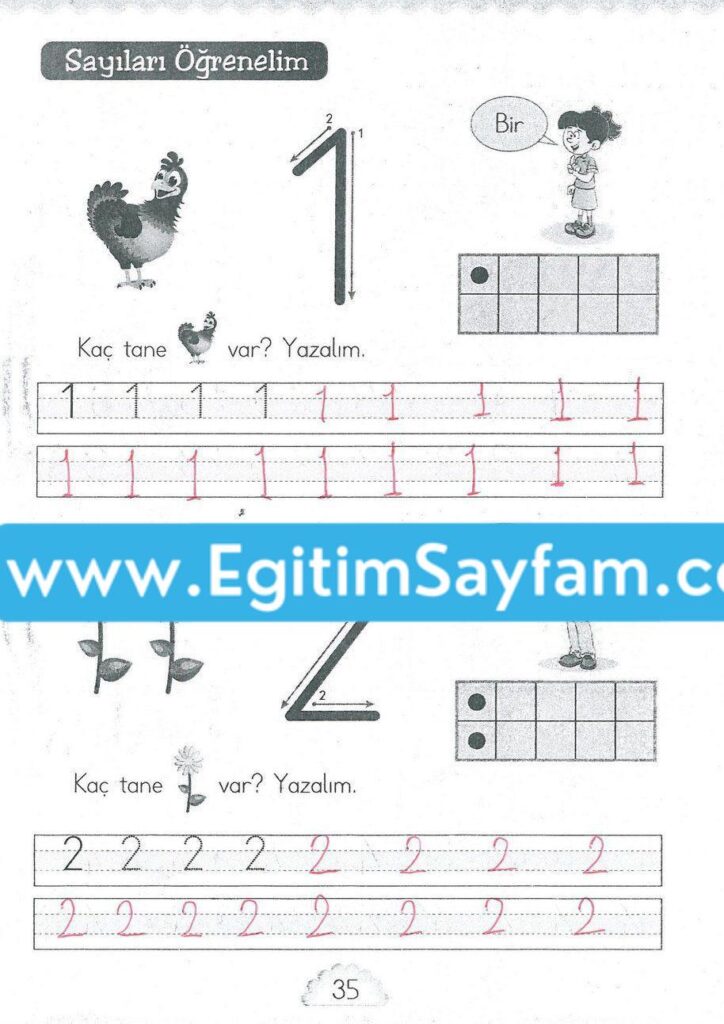 1. Sınıf MHG Yayınları Matematik Ders Kitabı Sayfa 35 Cevabı