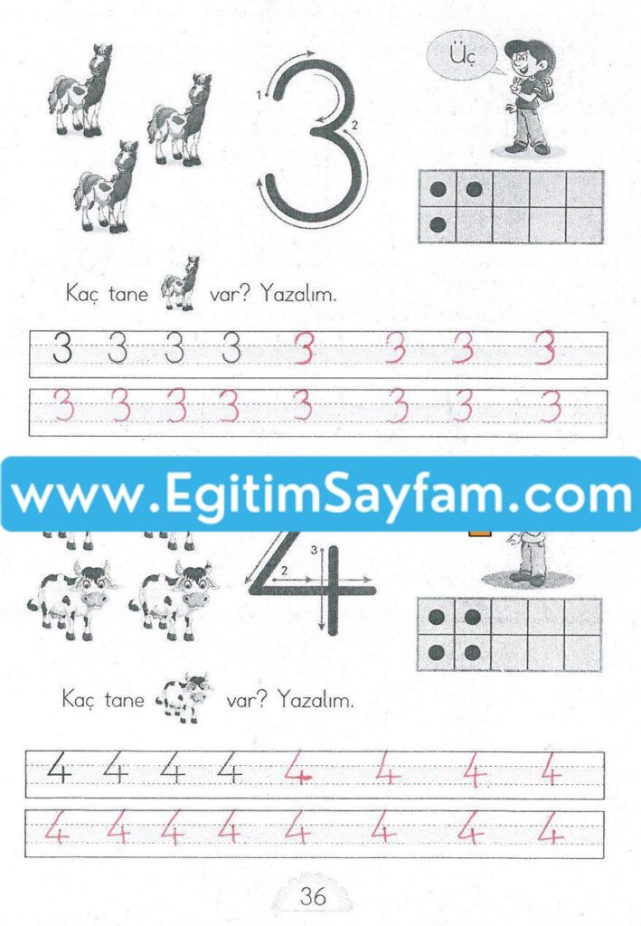 1. Sınıf MHG Yayınları Matematik Ders Kitabı Sayfa 36 Cevabı