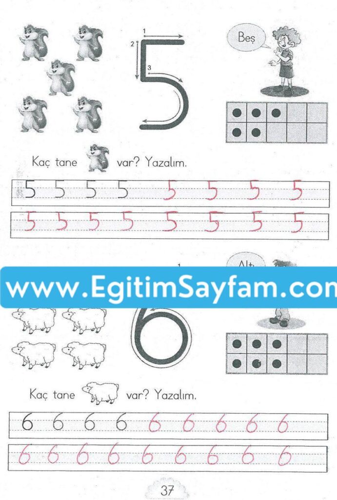 1. Sınıf MHG Yayınları Matematik Ders Kitabı Sayfa 37 Cevabı