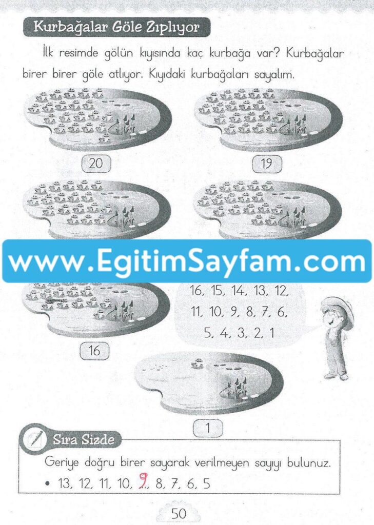 1. Sınıf MHG Yayınları Matematik Ders Kitabı Sayfa 50 Cevabı