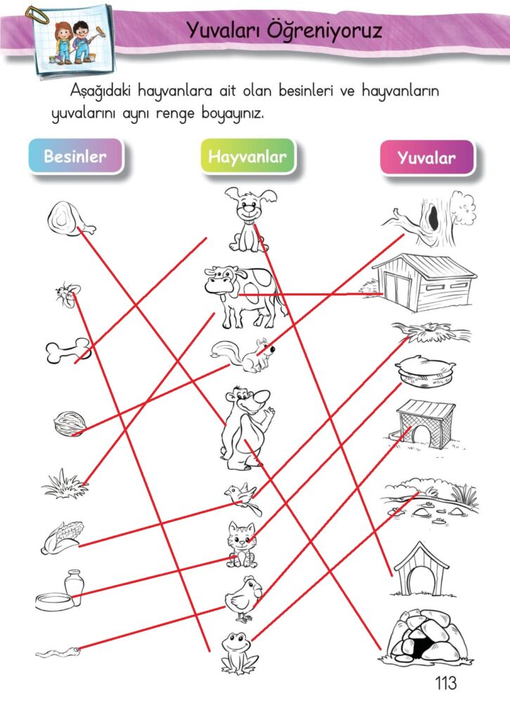 1. Sınıf Hayat Bilgisi Çalışma Kitabı Cevapları Sayfa 113