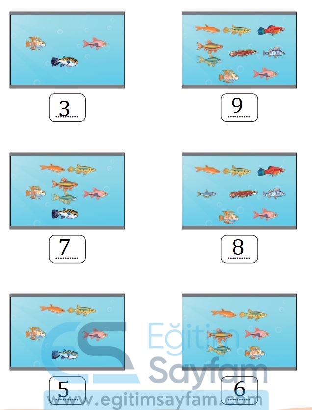 1. Sınıf Matematik Meb Yayınları Çalışma Kitabı Cevapları Sayfa 39