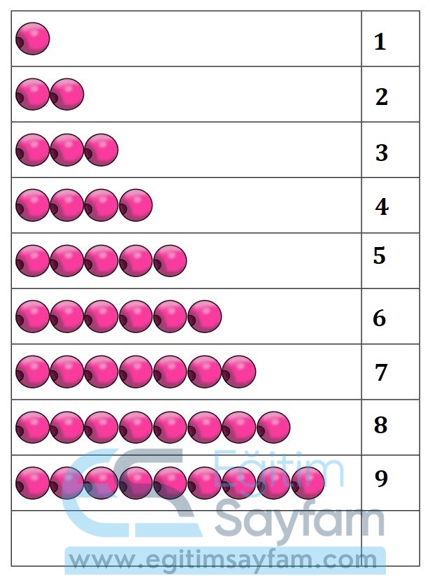 1. Sınıf Matematik Meb Yayınları Çalışma Kitabı Cevapları Sayfa 43