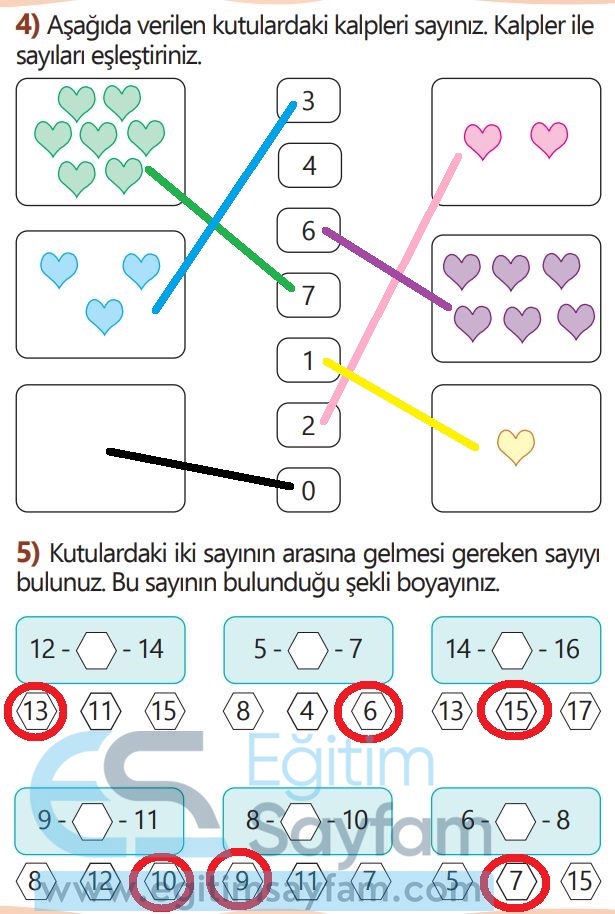 1. Sınıf Matematik Meb Yayınları Çalışma Kitabı Cevapları Sayfa 46