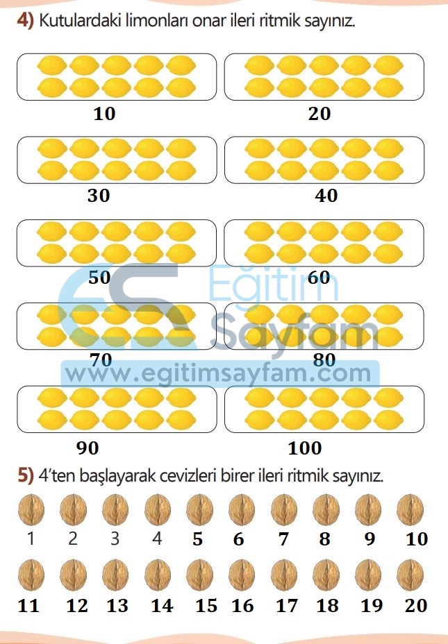 1. Sınıf Matematik Meb Yayınları Çalışma Kitabı Cevapları Sayfa 50