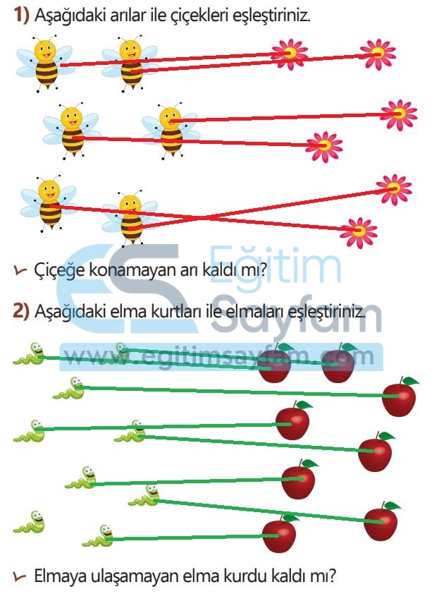 1. Sınıf Matematik Meb Yayınları Çalışma Kitabı Cevapları Sayfa 55