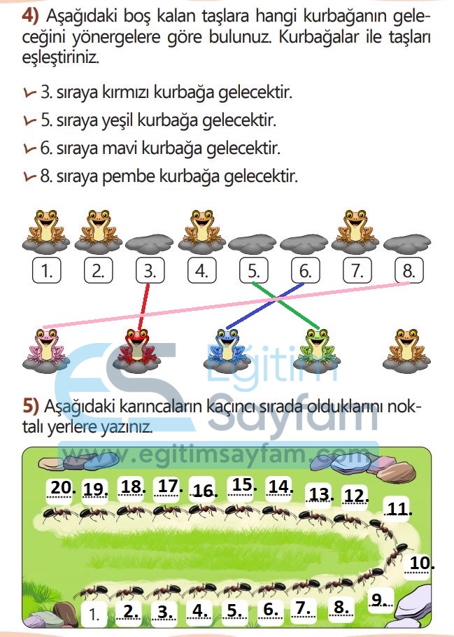 1. Sınıf Matematik Meb Yayınları Çalışma Kitabı Cevapları Sayfa 66