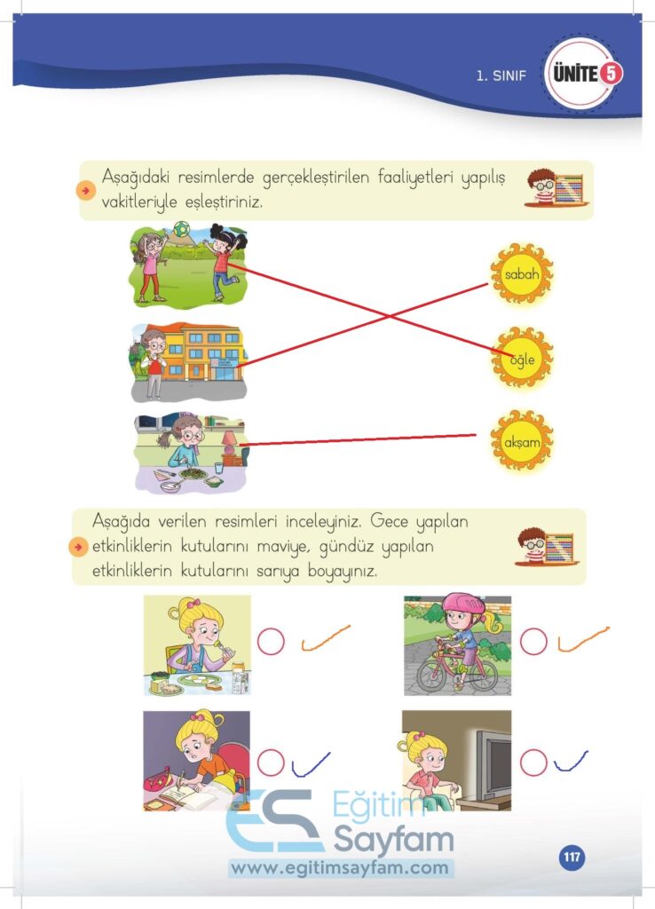 1. Sınıf Matematik Çalışma Kitabı Cevapları Meb Yayınları Sayfa 117