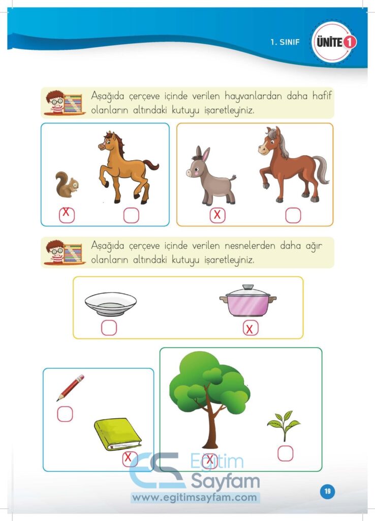 1. Sınıf Matematik Çalışma Kitabı Cevapları Meb Yayınları Sayfa 19