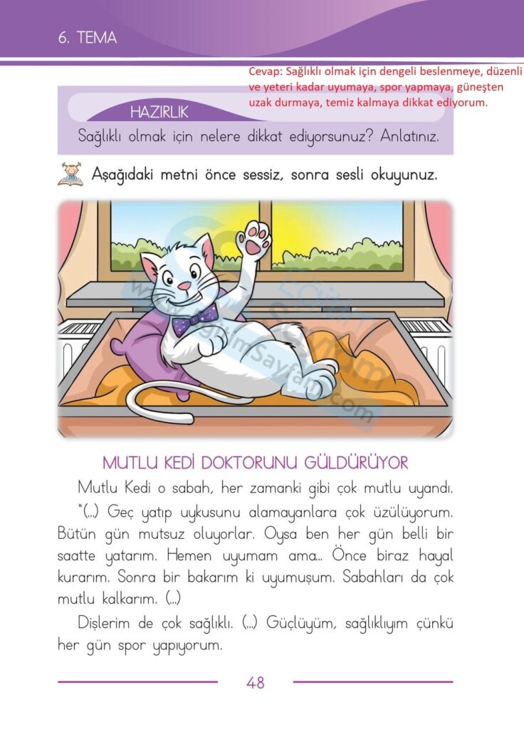 Mutlu Kedi Doktorunu Güldürüyor Metni Etkinlik Cevapları (1. Sınıf Türkçe)