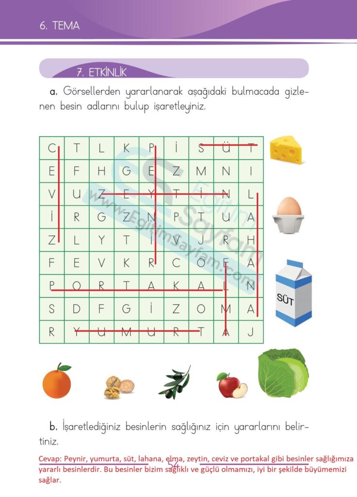 Görsellerden yararlanarak aşağıdaki bulmacada gizlenen besin adlarını bulup işaretleyiniz.