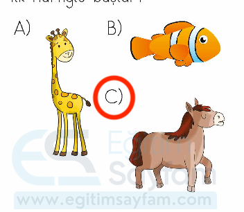 1. Sınıf Türkçe 6. Tema Değerlendirme Çalışmaları Metni Etkinlik Cevapları (1. Sınıf Türkçe)