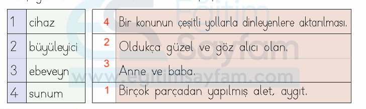 İnternet Acayip Bir Şey Metni Etkinlik Cevapları (1. Sınıf Türkçe)