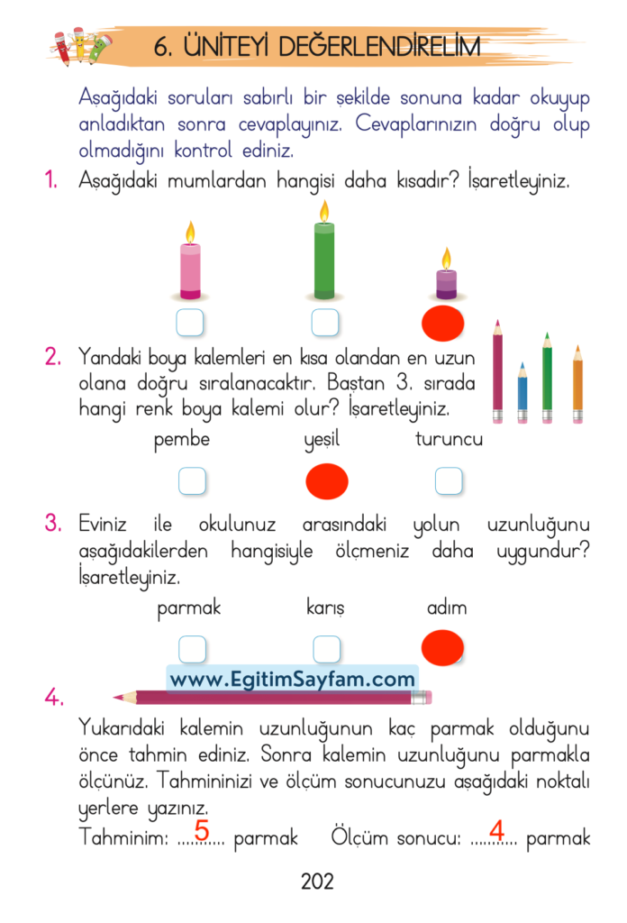 1. Sınıf Matematik Açılım Yayınları Ders Kitabı Cevapları Sayfa 202