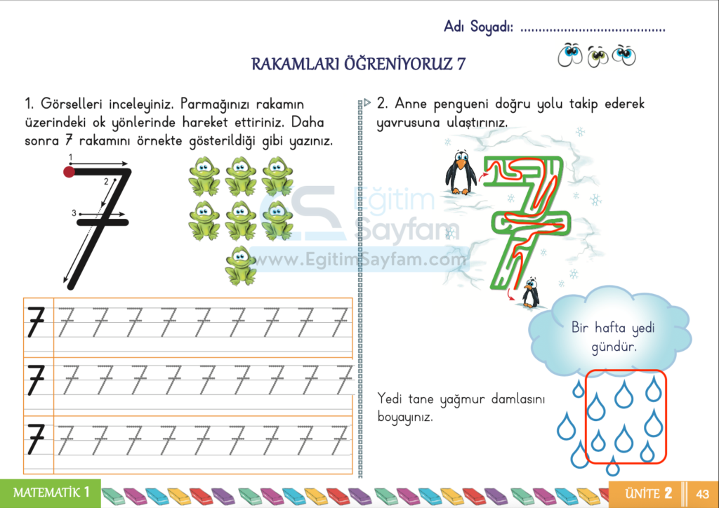 1. Sınıf Matematik Çalışma Kitabı Cevapları Sayfa 43