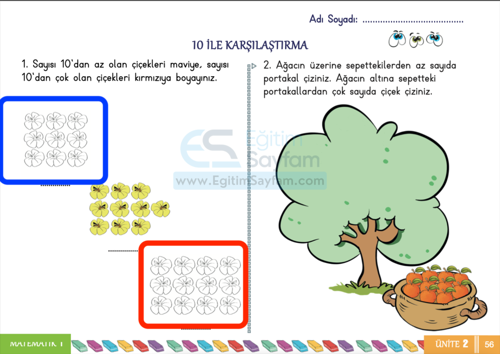 1. Sınıf Matematik Çalışma Kitabı Cevapları Sayfa 56