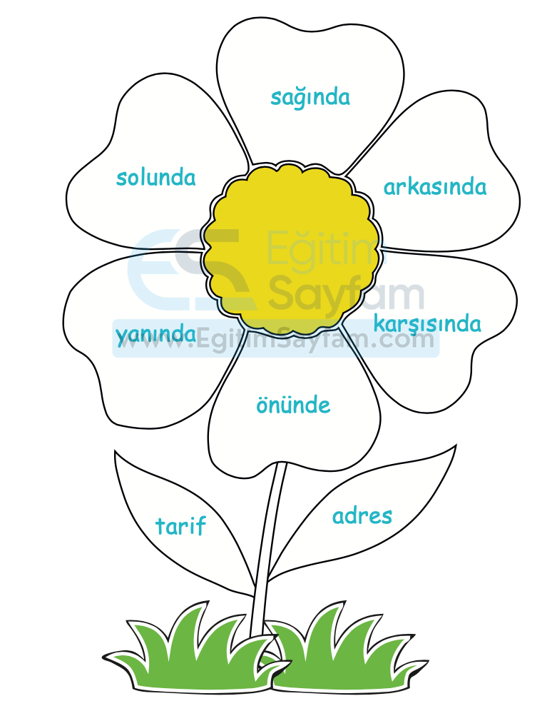 Evimin Yeri Metni Cevapları (1. Sınıf Hayat Bilgisi)