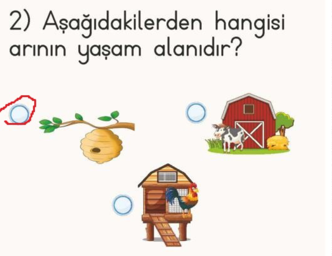 Aşağıdakilerden hangisi arının yaşam alanıdır?