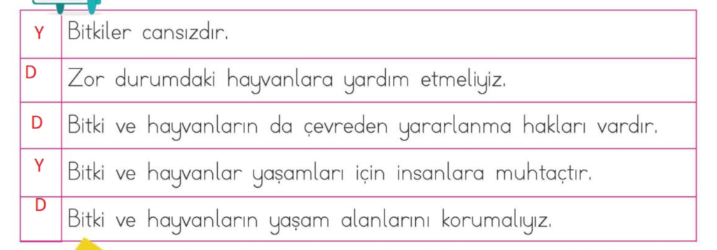 Aşağıdaki cümleleri okuyunuz. Cümleler doğru ise başına ”D” yanlış ise “Y” harfini yazınız.