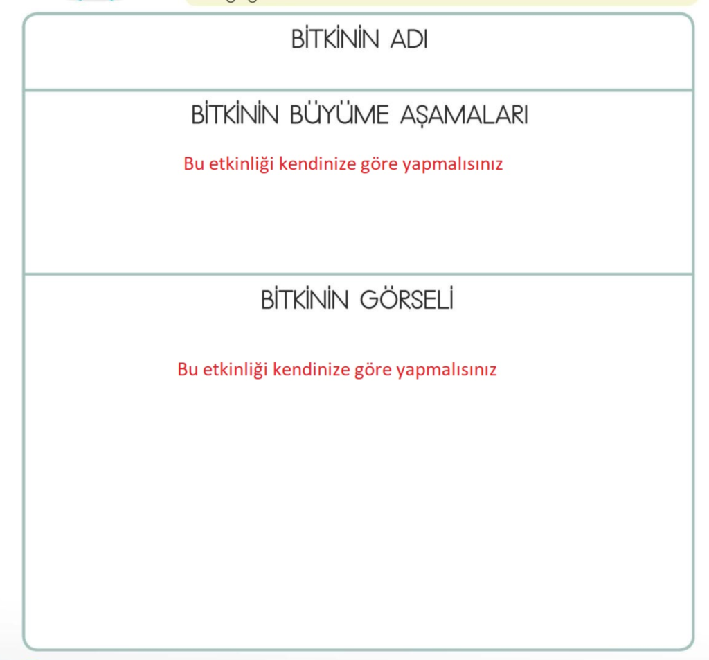 İstediğiniz bir bitki hakkında araştırma yapınız. Bitkinin büyüme aşamalarını aşağıdaki tabloya yazınız. Tabloda gösterilen bölüme bitkinizi çizip boyayınız.