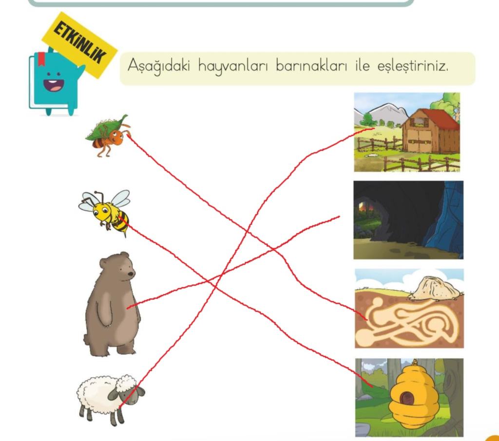 Aşağıdaki hayvanları barınakları ile eşleştiriniz.