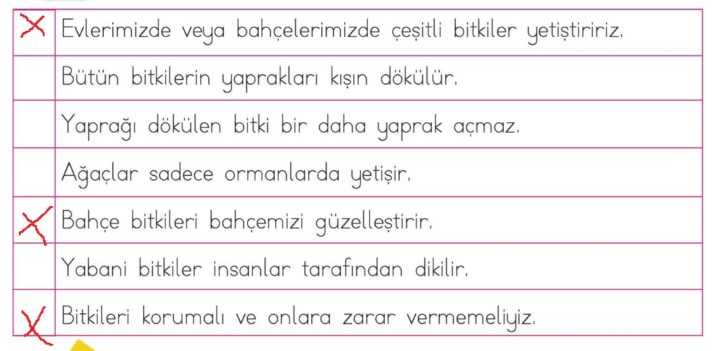 Aşağıdaki cümleleri okuyunuz, Doğru olanları “X” ile işaretleyiniz.