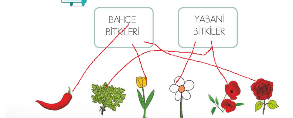 1. Sınıf Hayat Bilgisi Çalışma Kitabı Sayfa 110 Cevapları