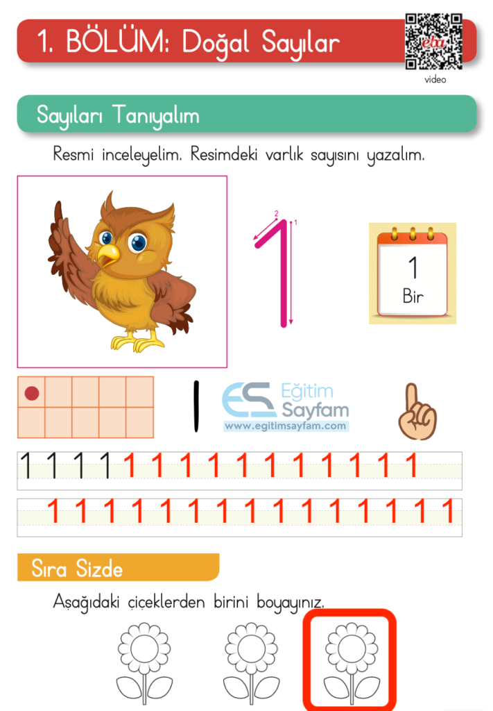 1. Sınıf Matematik Ders Kitabı Cevapları Dizin Yayıncılık Sayfa 29