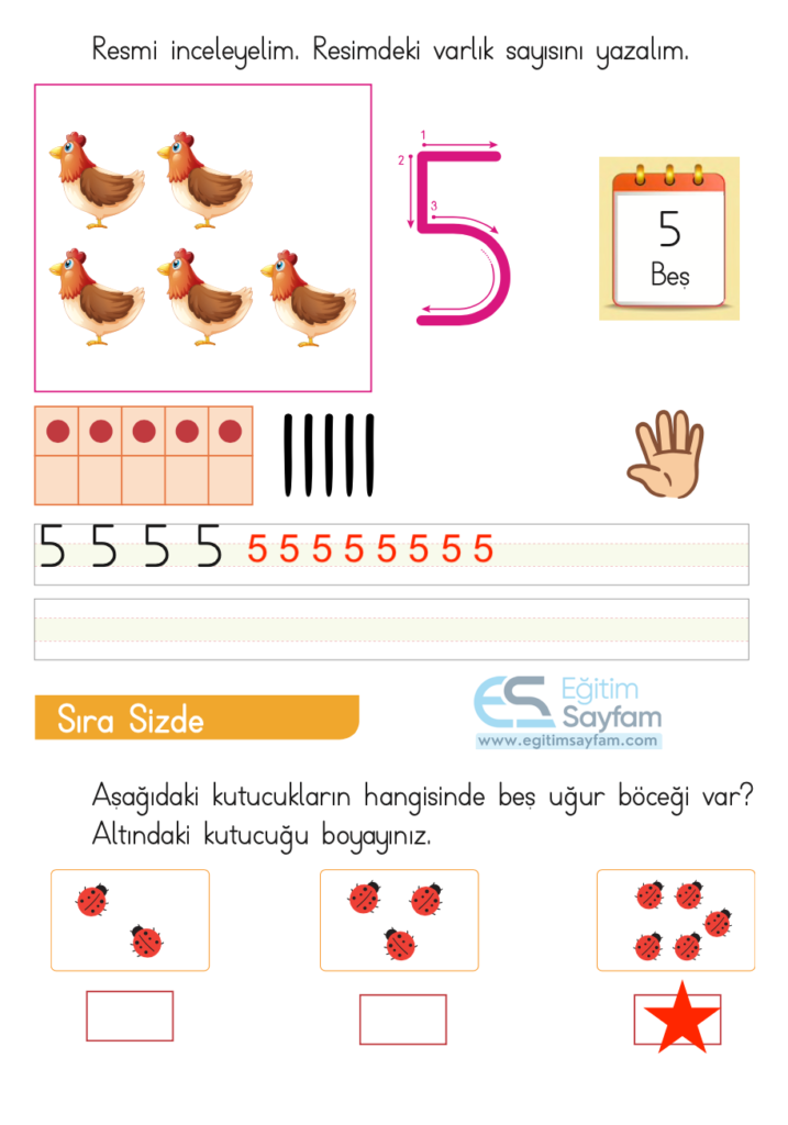 1. Sınıf Matematik Ders Kitabı Cevapları Dizin Yayıncılık Sayfa 33