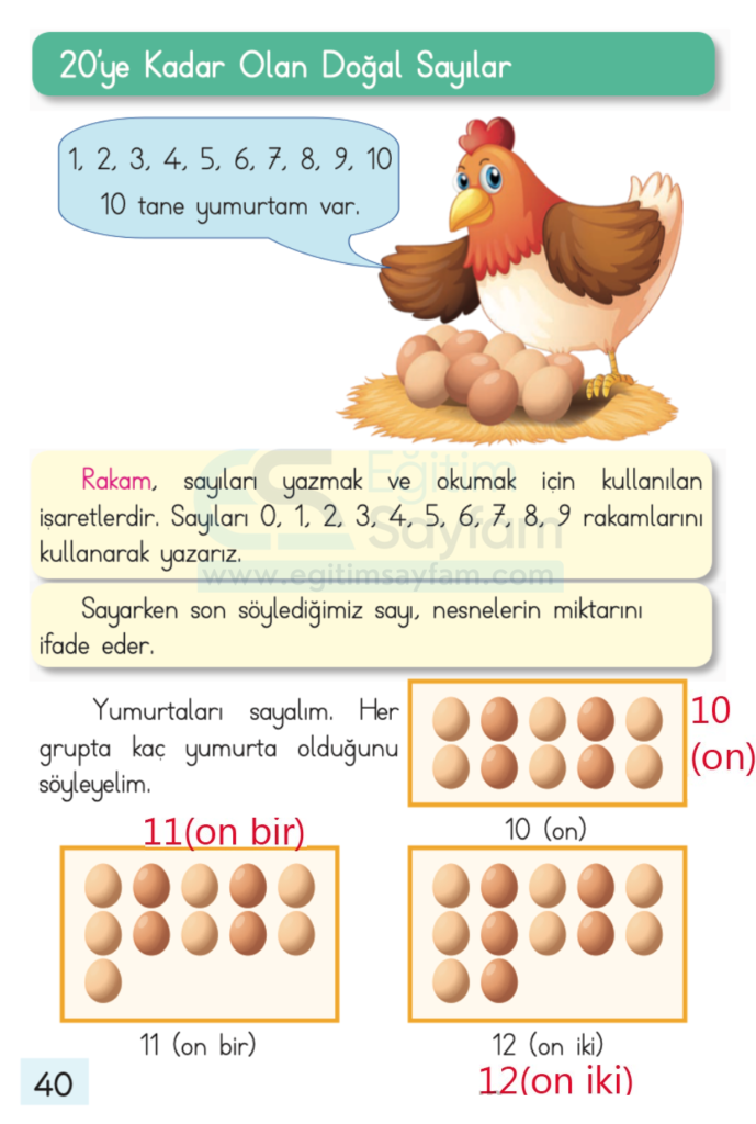 1. Sınıf Matematik Ders Kitabı Cevapları Dizin Yayıncılık Sayfa 40