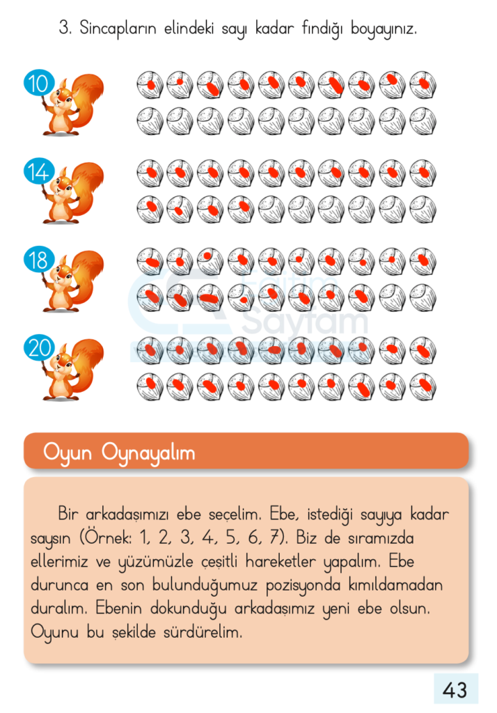 1. Sınıf Matematik Ders Kitabı Cevapları Dizin Yayıncılık Sayfa 43