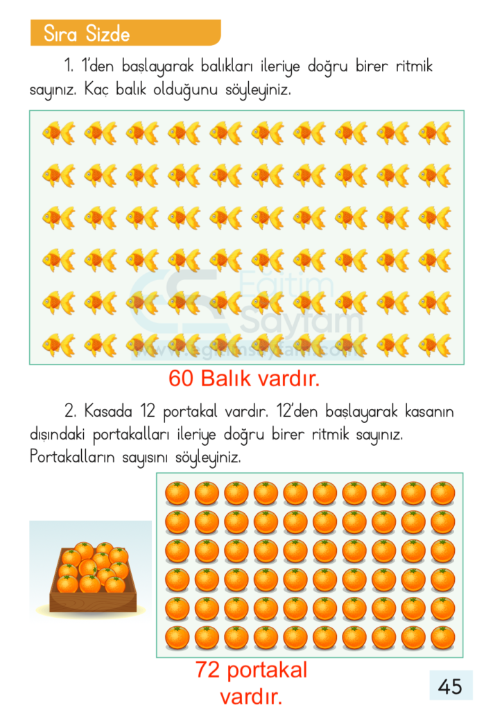 1. Sınıf Matematik Ders Kitabı Cevapları Dizin Yayıncılık Sayfa 45