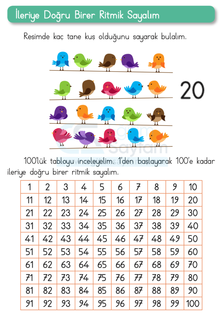 1. Sınıf Matematik Ders Kitabı Cevapları Dizin Yayıncılık Sayfa 44