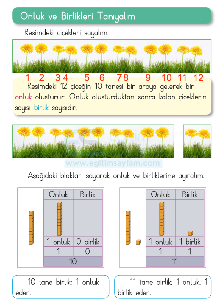 1. Sınıf Matematik Ders Kitabı Cevapları Dizin Yayıncılık Sayfa 62