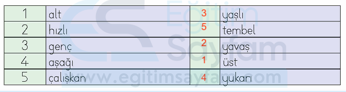 1. Sınıf Türkçe 5. Tema Değerlendirme Çalışmaları Metni Etkinlik Cevapları (1. Sınıf Türkçe)