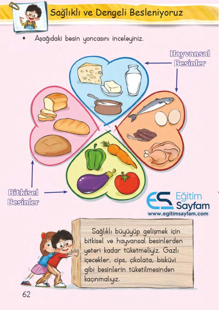 1. Sınıf Hayat Bilgisi Çalışma Kitabı Cevapları Sayfa 62