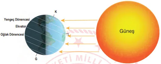 2019 LGS Fen Bilimleri Örnek Sorular