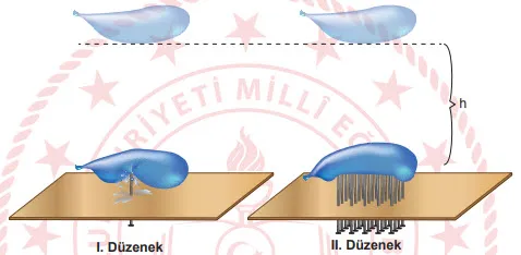 2019 LGS Fen Bilimleri Örnek Sorular