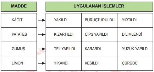 2019 LGS Fen Bilimleri Örnek Sorular