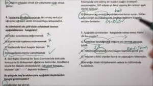 8. Sınıf Türkçe 1. Dönem 1. Yazılı ( Video )